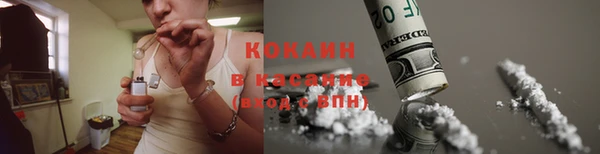 хмурый Алзамай