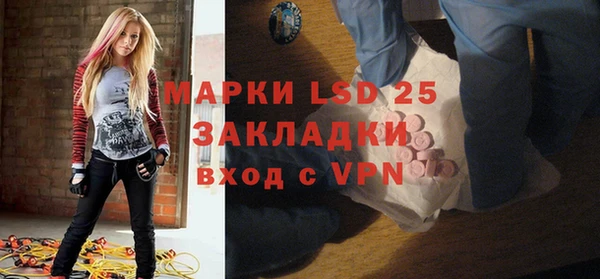 хмурый Алзамай