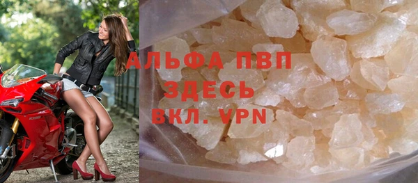 хмурый Алзамай