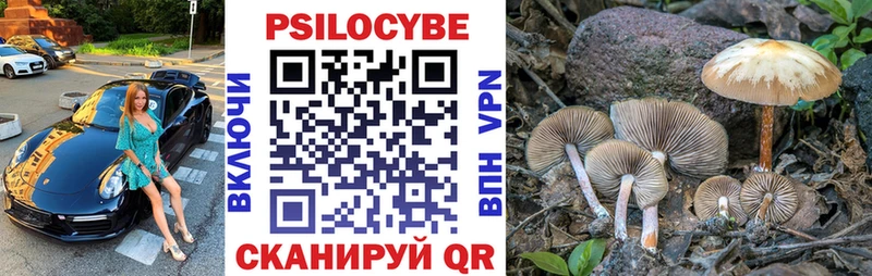 купить наркотики цена  Железноводск  OMG как войти  Галлюциногенные грибы Magic Shrooms 